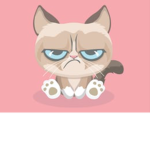 Cats custom outfits