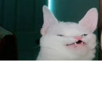 Oi tudo bem? Ksksksksk eu tô dando robux pra mia f
