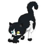 Mountain Clan (Warrior cats group)
