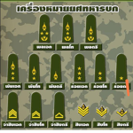 จำลองการเป็นทหารบก