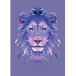 The Dakaari Pride