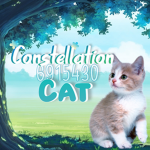 Constellation cat