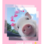 ~Piggy Friends~