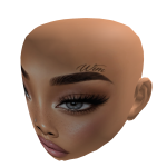 CUSTOM