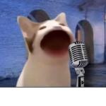 United cats of post