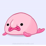 Dablobfish gang