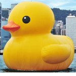{}~{} Duck o clan {}~{}