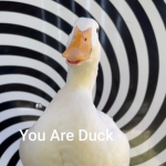 Strong Duck's