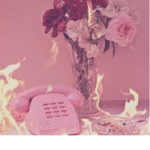Awesome.Pink.Butterflies