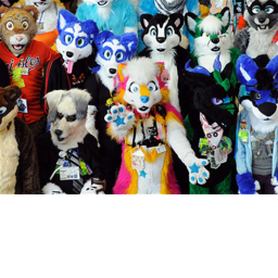 Lost furries(the show)