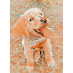 TheNiceMate