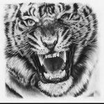 Player Points Hangout  [ 10 P.P. per kill ]