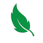 Fallen Leaf Games