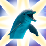Dolphinblox