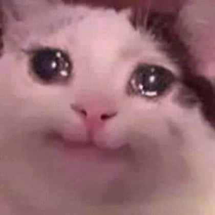 Crying Cat Roblox decal