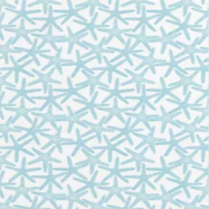 Star Fish Blue Roblox decal