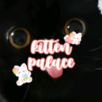 - kitten palace -