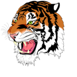 Tiger Organization