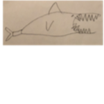 Sharks_for_Life