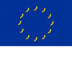 Bananas Union
