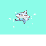 Small Shark Cult