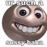 SUSSY*BAKA>_<