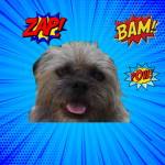 Dog Civilization Group
