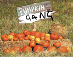 Pumpkin GANG :3