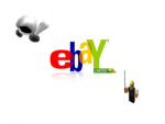 eBay™