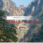 태산 부대 {army!}