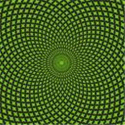 Green Illusion Pattern Roblox decal