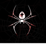 .: Spider's United :.