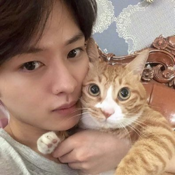 ⋆˚࿔🐈