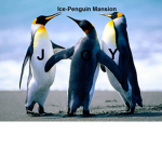 #PENGUIN_CREW
