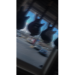 p͡e͡a͡x͡c͡h͡b͡l͡o͡s͡s͡u͡m͡s͡