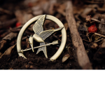 Team Katniss!
