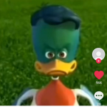 Bobux gnag