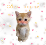 <Coco beanz>