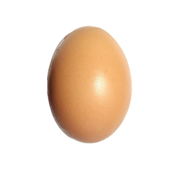 The Giant Egg