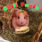 chili panini