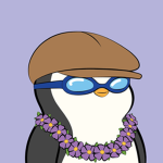NERD ANIMATIONS