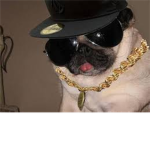 Puggies