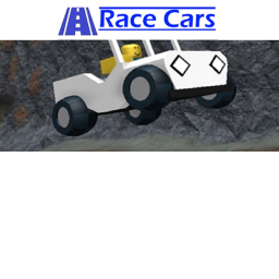 Roblox fun car race