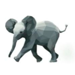 RandomElephants