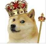 D0GE XD