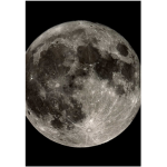 The moon dancers