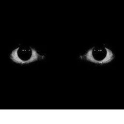 nyctophobia icon