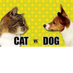 DogsVSCats