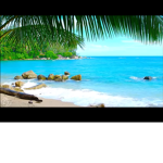 Sharky_Playz clan