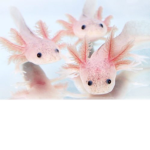 Surface Axolotl Kingdom